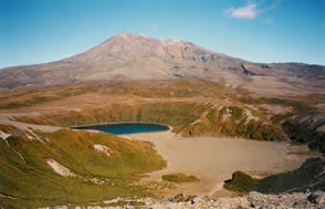 Ruapehu pole doctor